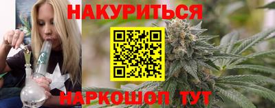 индика Будённовск