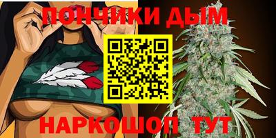 индика Будённовск