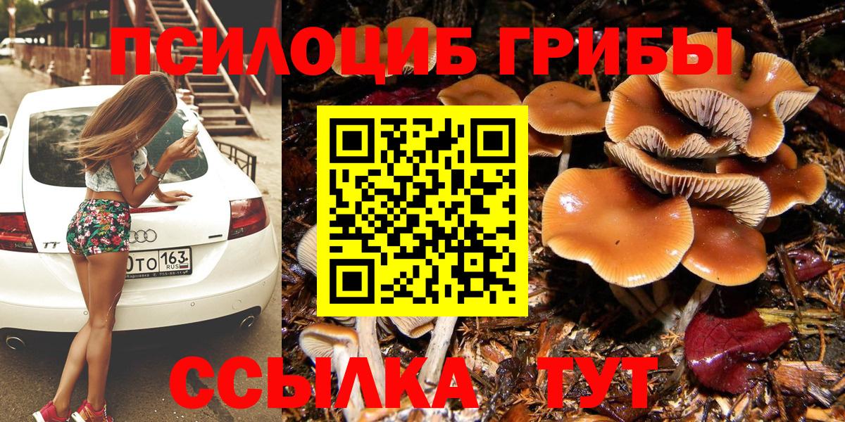 Галлюциногенные грибы MAGIC MUSHROOMS  Вход с VPN  Красноуфимск 